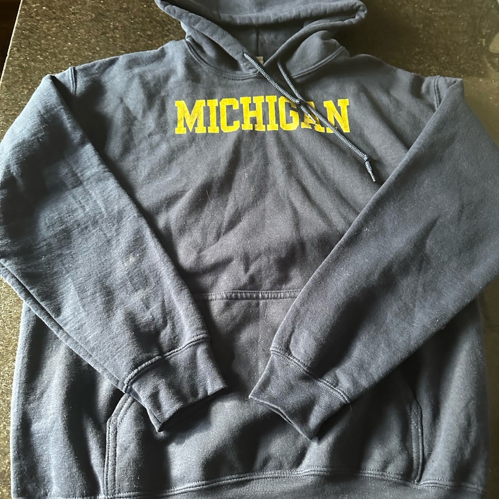 Goldan Heavy Blend Michigan hoodie, Medium, NWOT screened “Michigan”